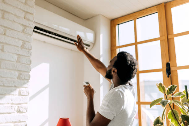 Best Best HVAC Companies  in Lino Lakes, MN