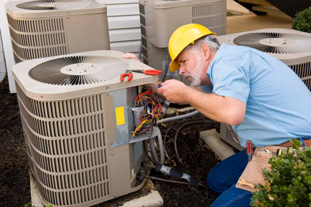 Best Local HVAC Companies  in Lino Lakes, MN